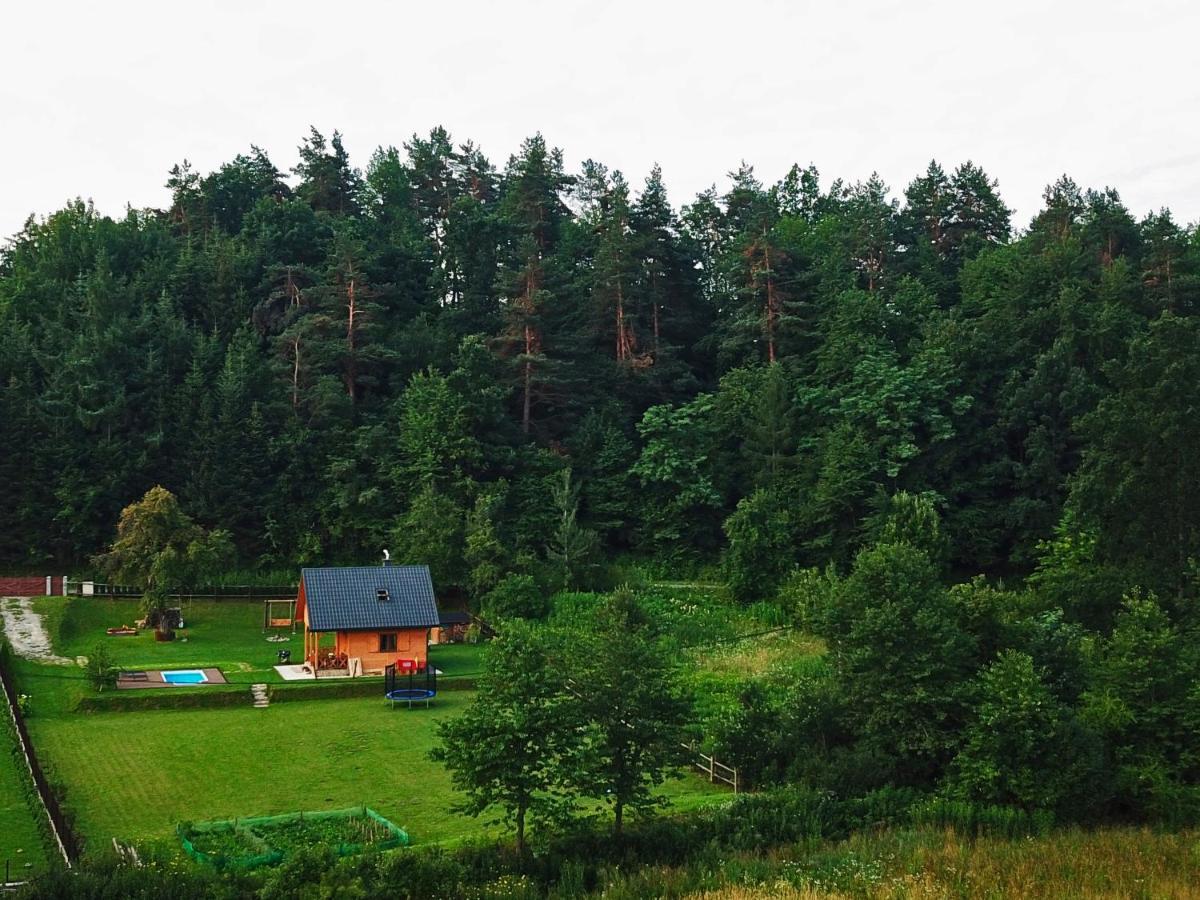 Domek Skowronek Z Basenem Lesko Exteriör bild