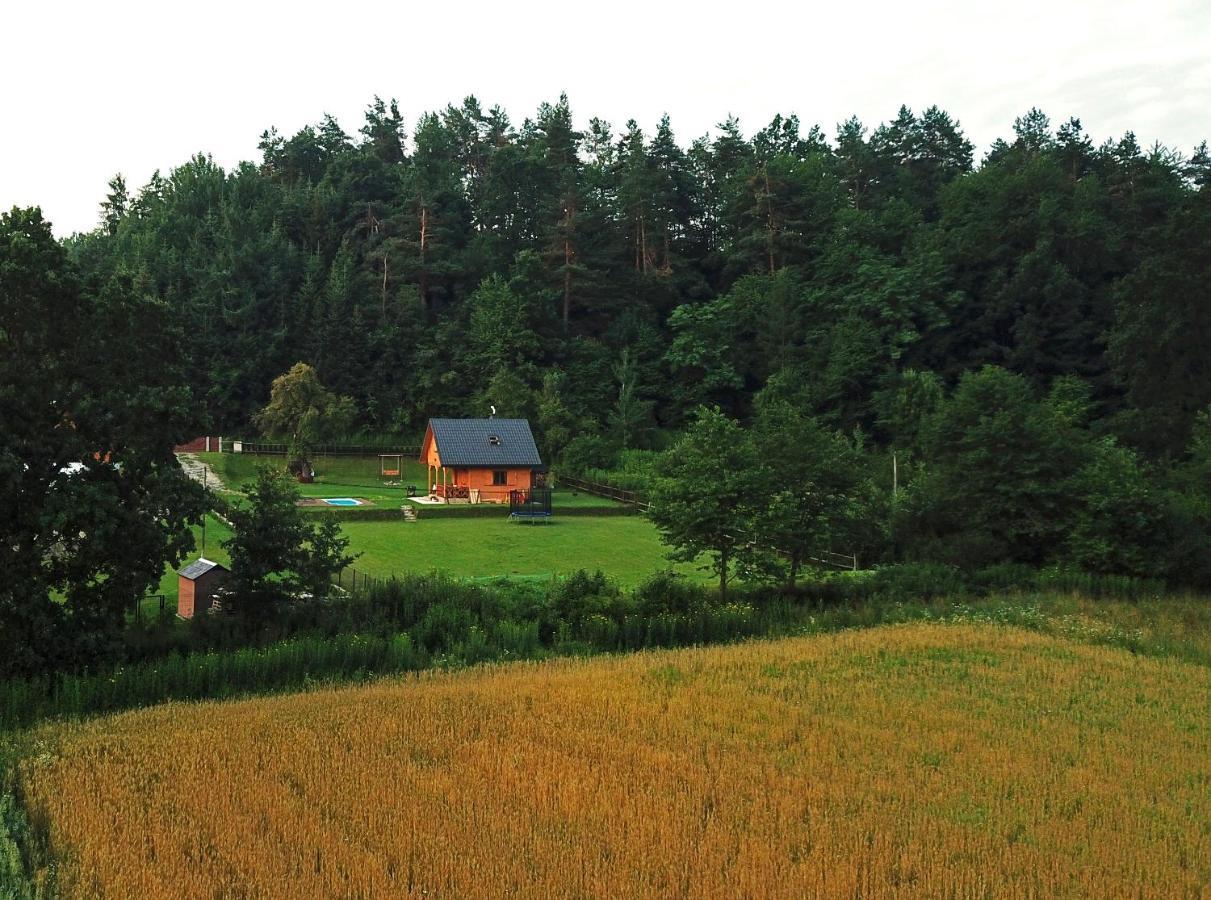 Domek Skowronek Z Basenem Lesko Exteriör bild