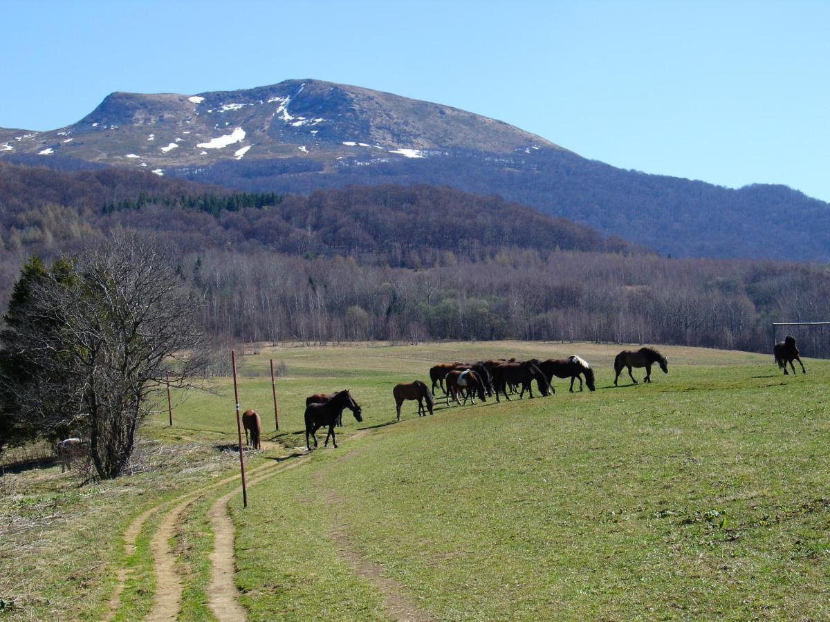 Domek Skowronek Z Basenem Lesko Exteriör bild