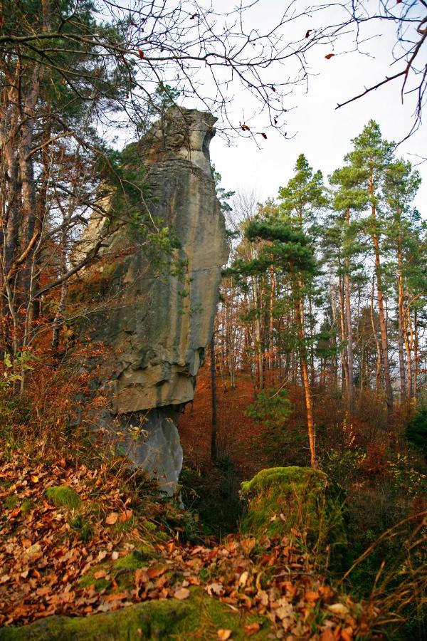 Domek Skowronek Z Basenem Lesko Exteriör bild